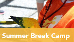 Salt Lake City summer camps